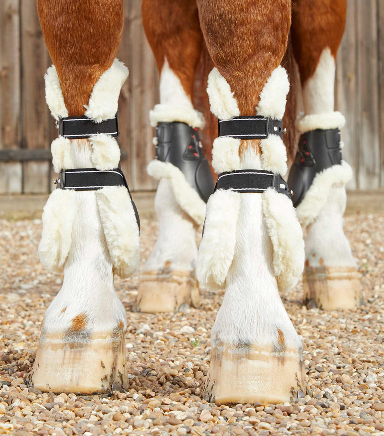 Techno Wool Tendon Boots – Premier Equine Int. Ltd.