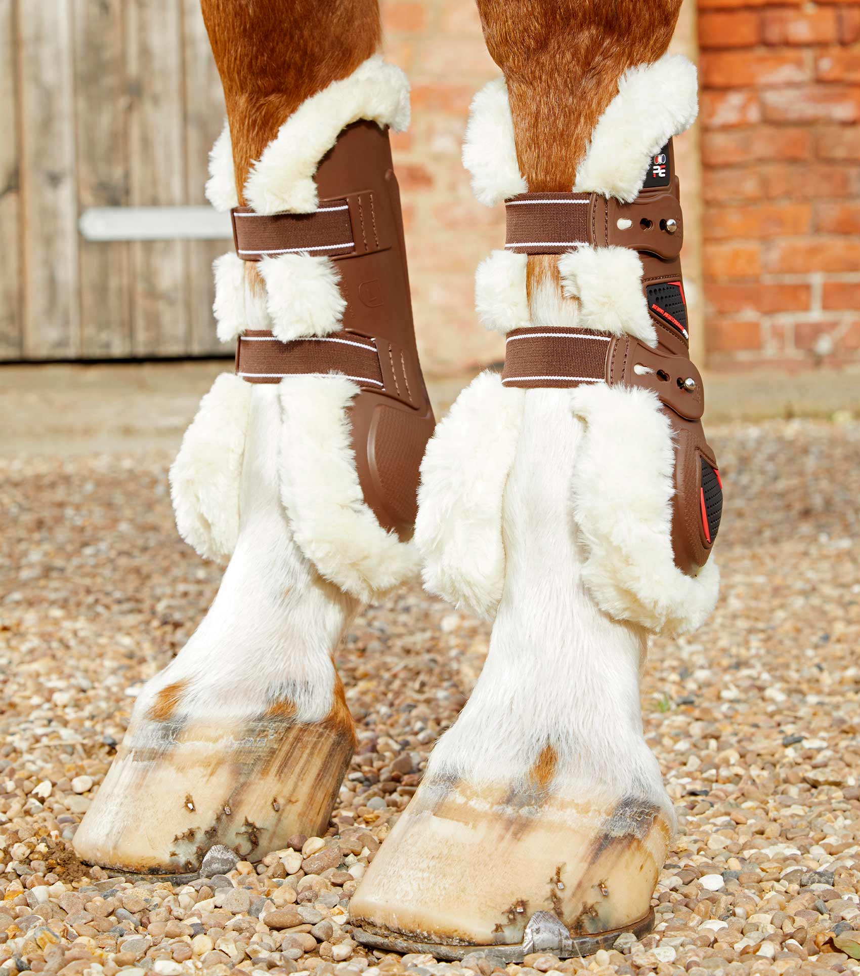 Horse jumping boots 2025 for sale