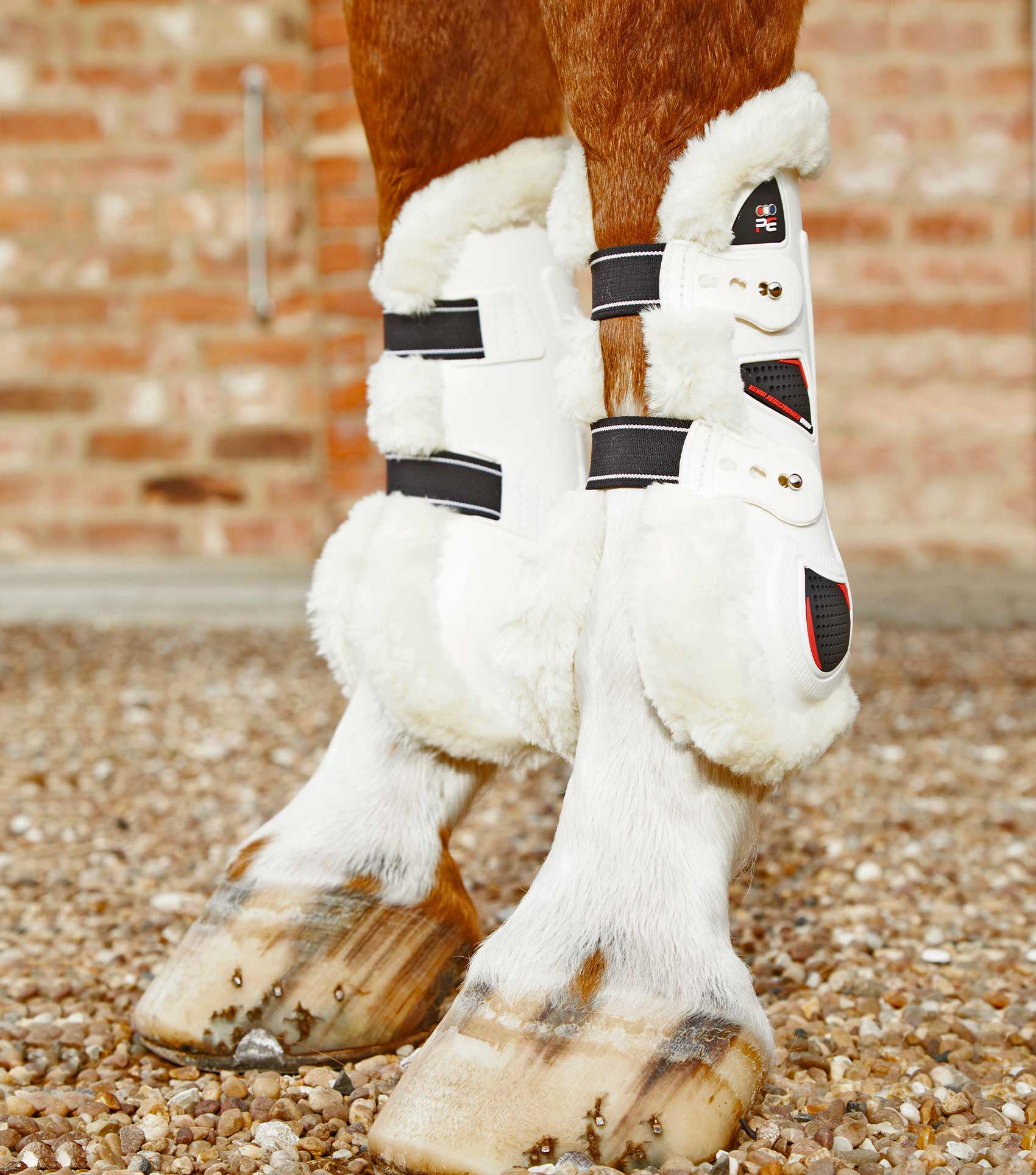 Techno wool store tendon boots